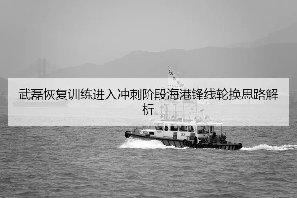 武磊恢复训练进入冲刺阶段海港锋线轮换思路解析
